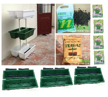 Kit trồng rau thông minh R01